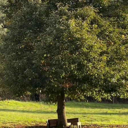 Hébergement de vacances O Outeiro Da Tia Mucha Pontevedra