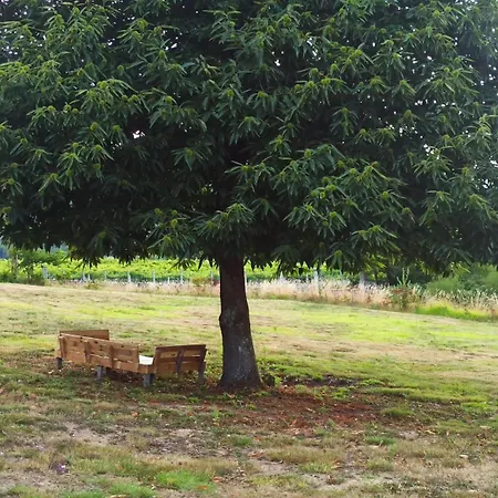 Nyaraló O Outeiro Da Tia Mucha Pontevedra