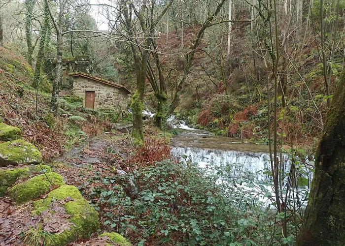 O Outeiro Da Tia Mucha